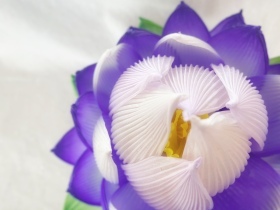 [1日講座]蓮の花ランタンをつくろう