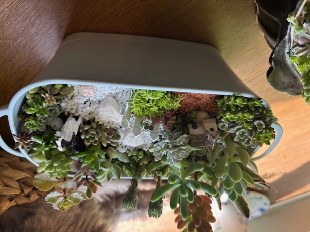 [1日講座]季節のフラワーアレンジ