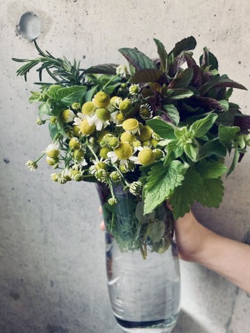 季節のハーブ