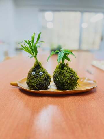 1day講座「癒しの苔玉作り」