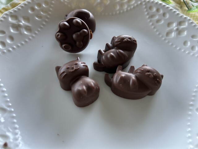 【にゃんカル～JEUGIA猫まつり】ネコの形のバレンタインのチョコレートを作ろう