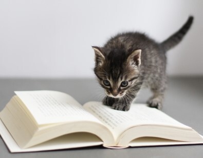 【にゃんカル～JEUGIA猫まつり】「朗読」講座の体験会～“100万回生きたネコ”を朗読しましょう～