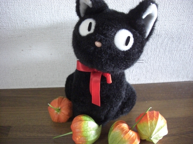 【にゃんカル～JEUGIA猫まつり】“黒猫ジジが登場する映画音楽”で親子フラダンス体験会