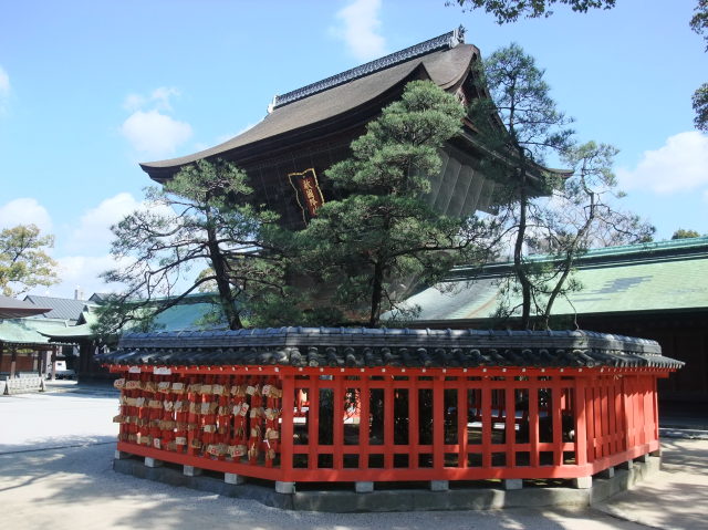 日本三大八幡　筥崎宮で四季を活ける「池坊いけ花」