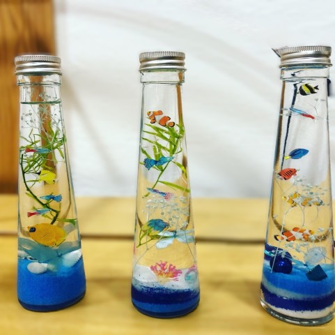 【2025年夏休み】ハーバリウムでミニ水族館を作ろう!
