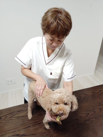 愛犬・愛猫のためのはじめてのペットマッサージ
