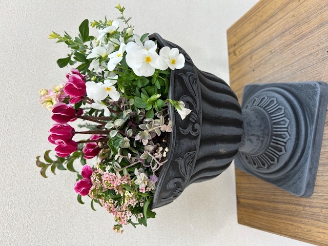 お花や植物でクリスマスを彩る！クリスマスの寄せ植え