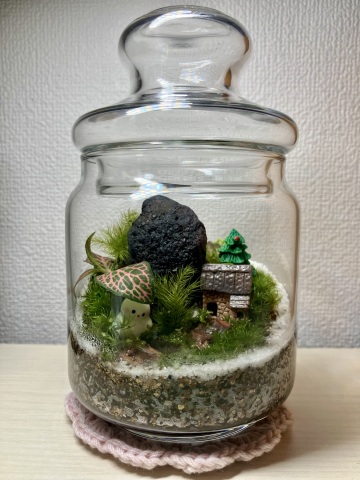 クリスマス苔テラリウムを作ろう