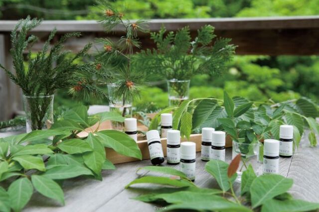 【会場中継オンライン・入会金不要2日講座】日本産精油アドバイザー講座