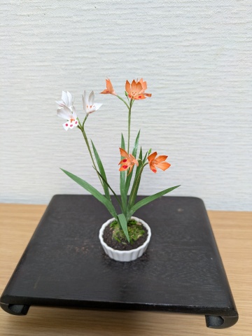 アート工芸盆栽