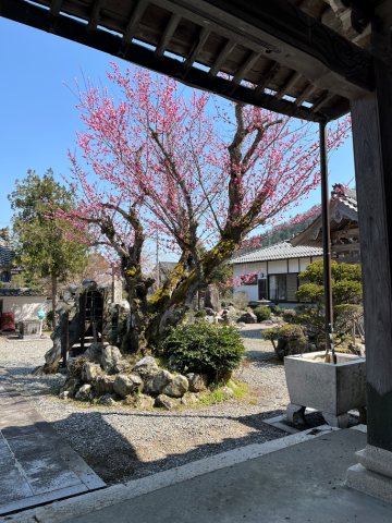 東福寺の禅にふれる、日々是好日のこころ。
