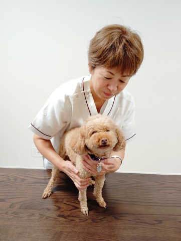 愛犬・愛猫のためのはじめてのペットマッサージ