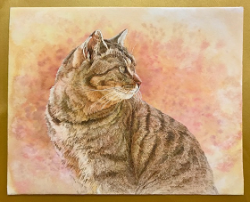 【火曜クラス】やさしい水彩画・色えんぴつ