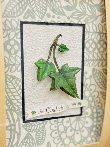 3Dアート シャドーボックス