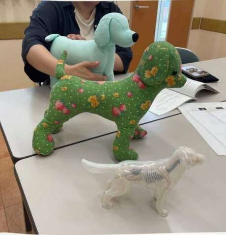 【入会金不要・オンライン講座・資格取得】anelaのドッグセラピスト講座