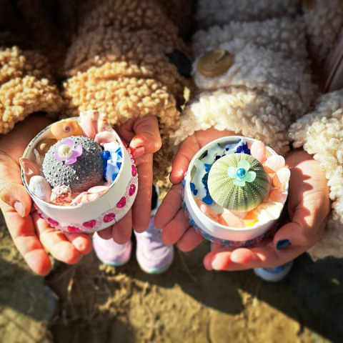 【夏休み1日特別講座】海の生き物について学ぼう！本物ウニでつくるウニランプ