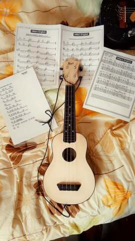 マイクのウクレレ教室