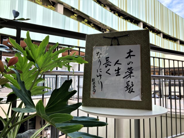 万葉句会