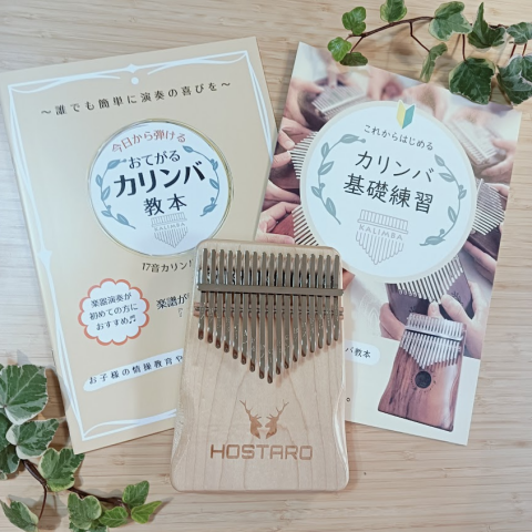 癒され楽しい♪　はじめてのカリンバ