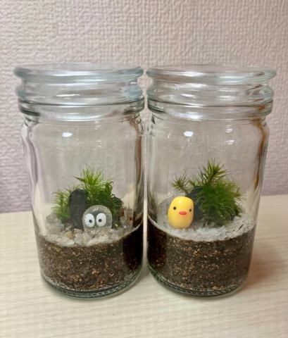 親子でつくろう！小さな自然の世界　苔テラリウムづくり