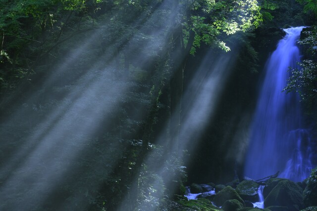 ステップアップ写真講座