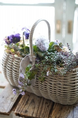 秋のバスケット寄せ植え教室