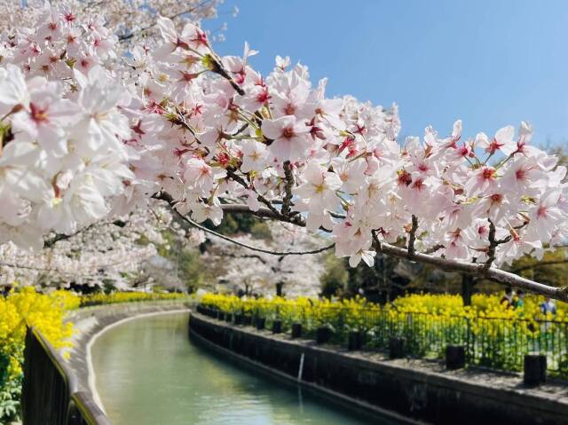 【新規講座】京都大好き！楽しく学ぶ京都学　入門クラス＜全12回＞