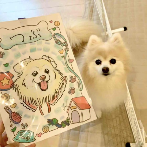 【新規講座】そっくりイラスト講座