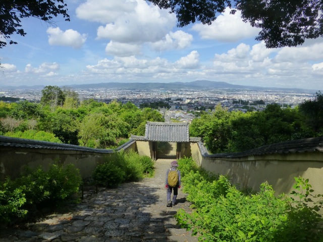 【2025年秋の現地講座】大人の遠足 秋のトレッキング～奈良 高円山と白毫寺～