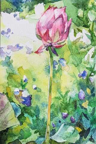 【新講座】金曜午前クラス　透明水彩画