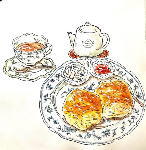 《NEW》水彩とペンで描くイラスト教室