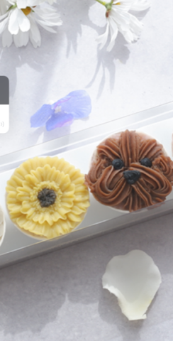 夏休みワークショップ「あんこのお花Ⓡ　わんちゃん用おやつケーキ」