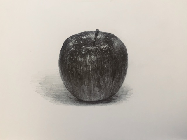 大人のためのデッサン教室