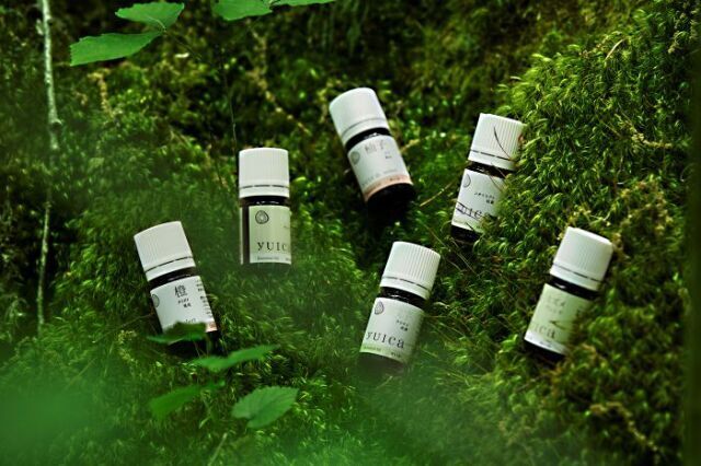 【オンライン・入会金不要・資格取得】日本産精油アドバイザー講座