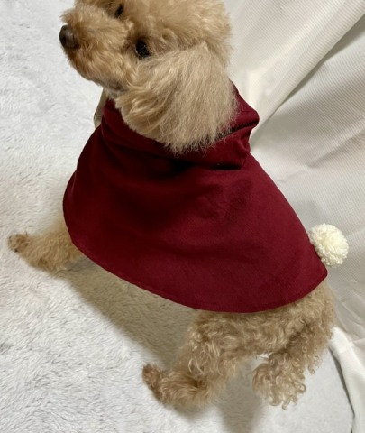 愛犬のための「フード付きお散歩ポンチョ」