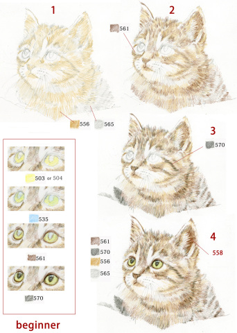 【オンライン講座】楽しくステップアップ 色鉛筆画