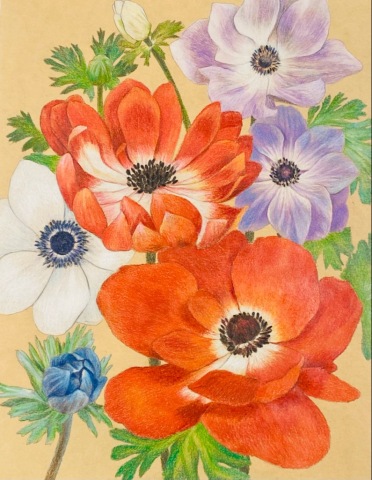 ～色鉛筆で表情豊かに～塗り絵教室