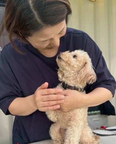 【オンライン講座・入会金不要・資格取得】知っておきたい愛犬の心と身体！ anelaのドッグセラピスト講座
