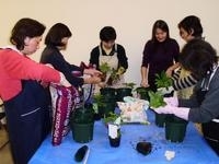 はじめてのガーデニング 東京都で習い事なら Jeugiaカルチャーセンター多摩センター 東京都多摩市 はじめてのガーデニング 東京都で習い事なら Jeugiaカルチャーセンター多摩センター 東京都多摩市