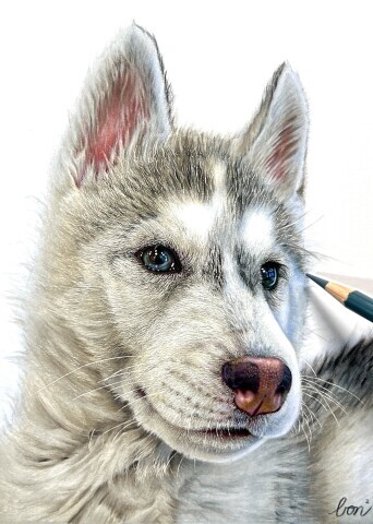 オンライン講座【”つい二度見”のリアルな絵が描ける！色鉛筆画教室】のご紹介♪