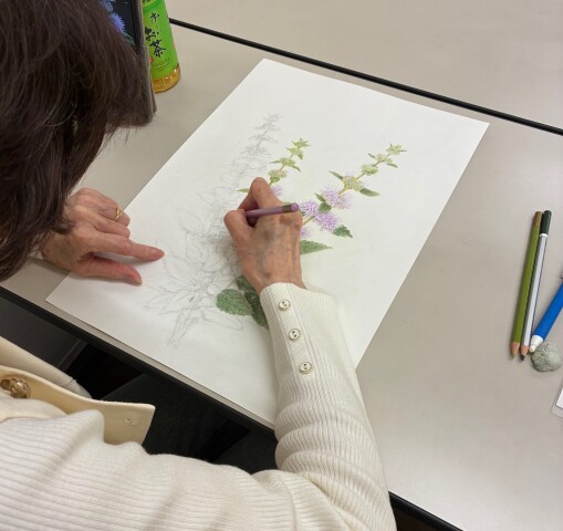 『ボタニカルアート』教室に潜入！！（11/26）