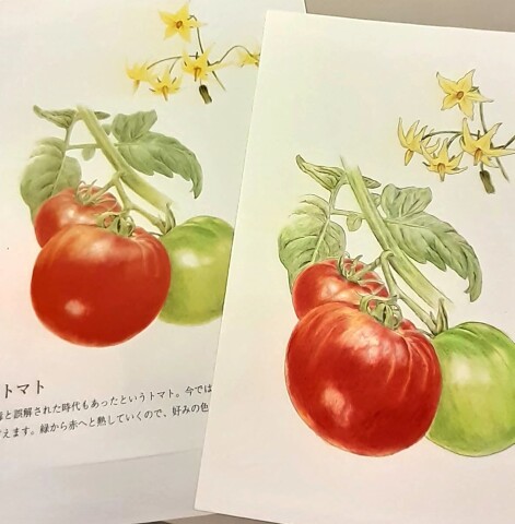 ★体験会あり！アートな春の新講座★