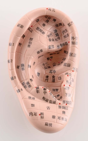 5月の1日または短時間で取得できる資格講座（入会金不要）のご案内