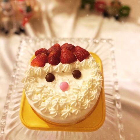 冬休み・クリスマス！こども・親子・大人の１日講座