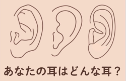 あなたの耳はどんな耳？耳からわかるあなた自身