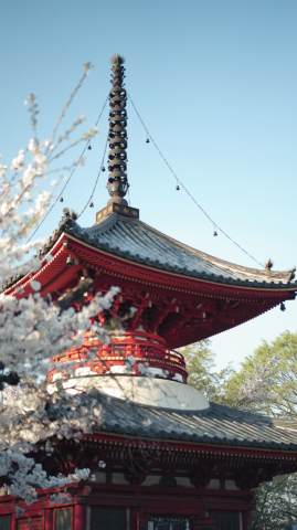 【ご当地講座】写真の撮り方 in 川越大師 喜多院