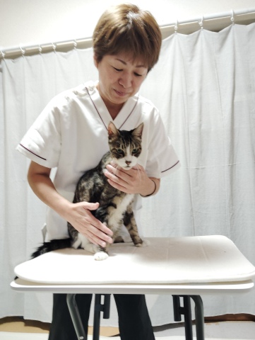 おすすめの1日講座のご紹介です。