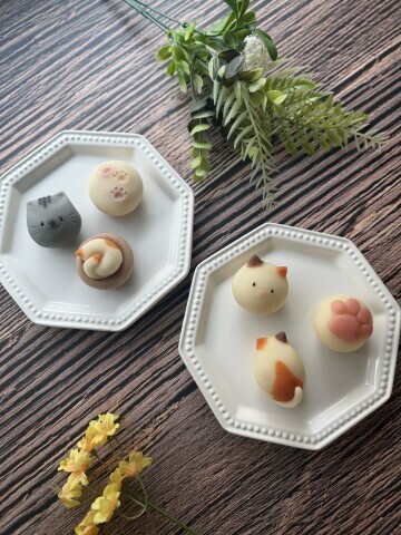 2/22(日)は猫の日！　【にゃんカル～JEUGIA猫まつり】に参加しよう！