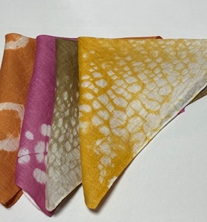 ◇◇◇春の新講座①◇◇◇