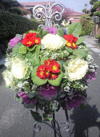 冬の1DAY講座より　～楽しくガーデニング～【Xmas寄せ植え】